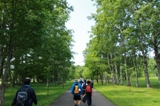 緑ヶ丘公園での活動の様子1