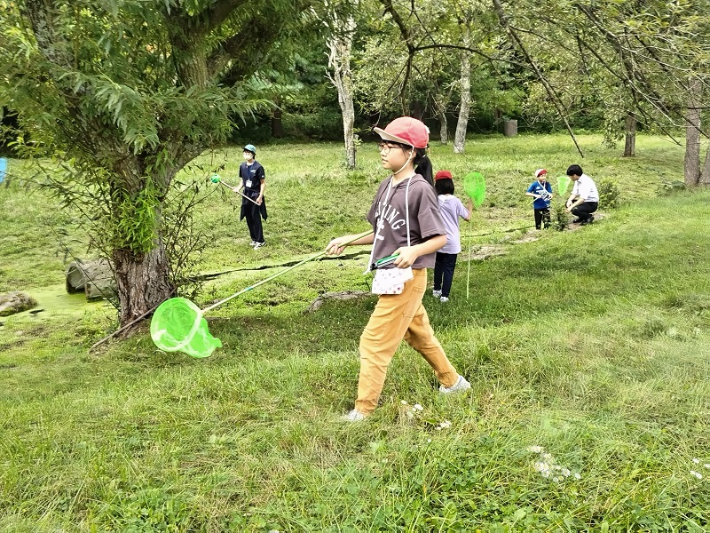 むしむし学習