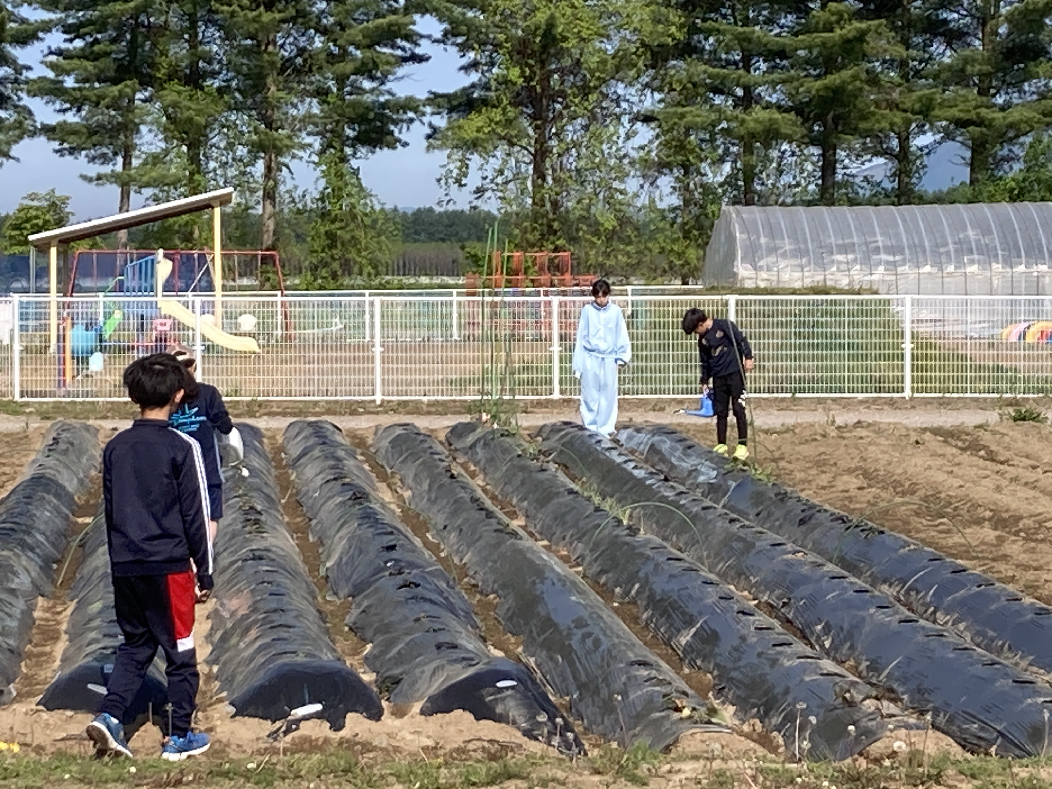 学校農園