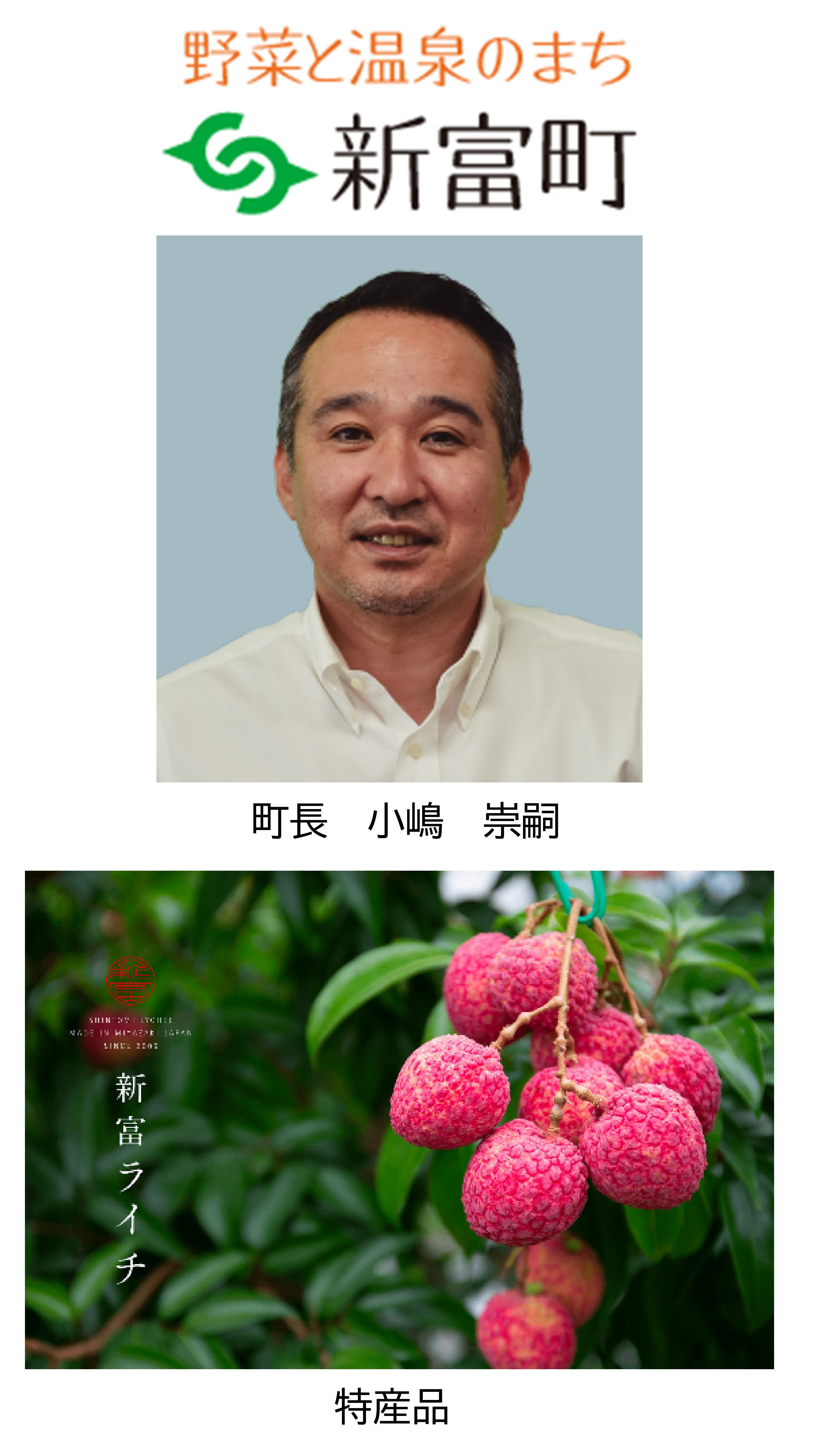 宮崎県新富町バナー