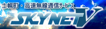 高速無線通信サービス「SKYNET V」