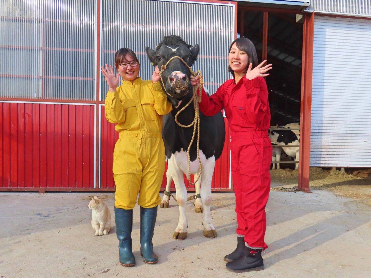 牛と写真を撮るタマダさんとコモダさん
