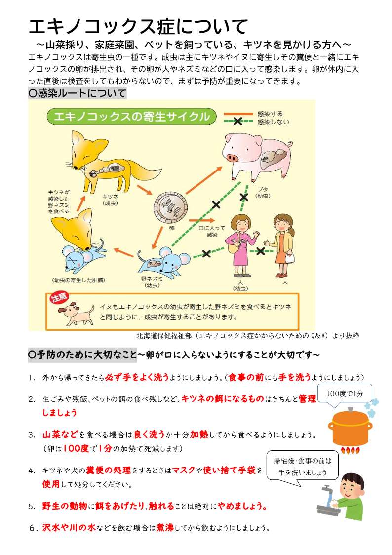 エキノコックス症について