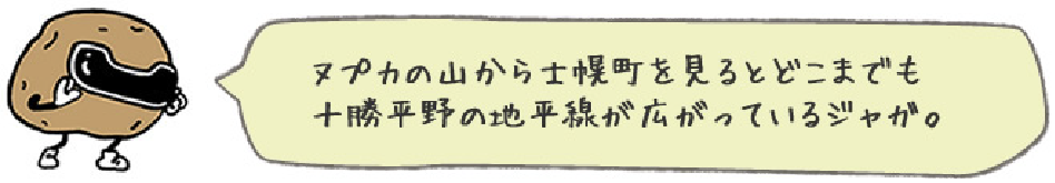 ヌプカの山から士幌町を見るとどこまでも十勝平野の地平線が広がっているジャガ。