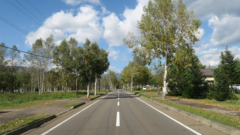 高原道路の写真